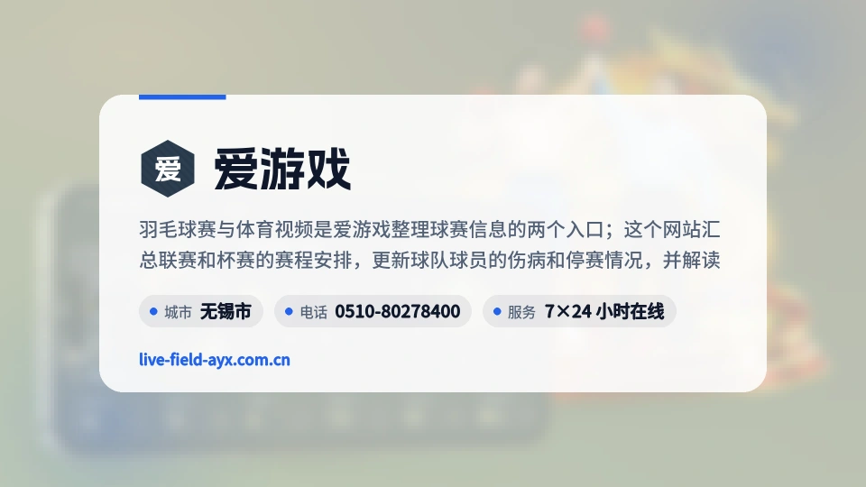 爱游戏介绍